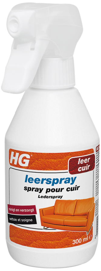 Hg Leerspray 300ml